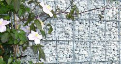 Bilder Garten Bronder