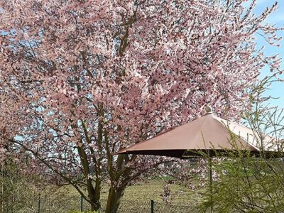 Bilder Karl Schreiber GartenGestaltung