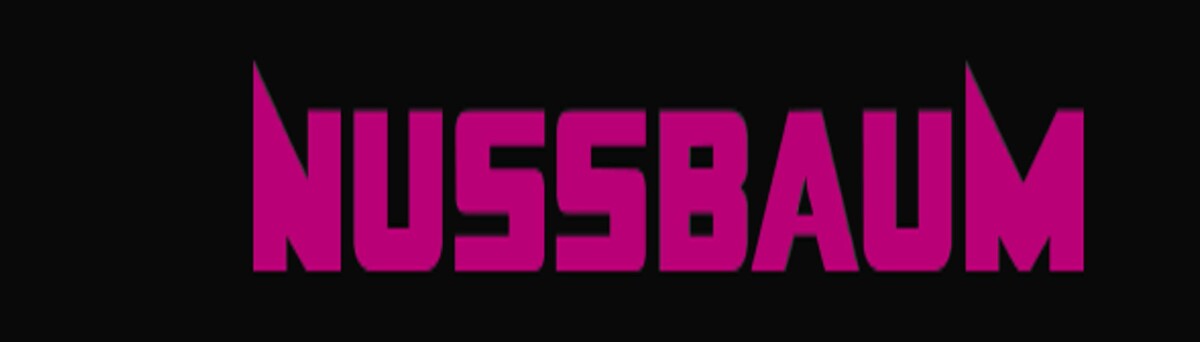 Nussbaum Reisen Omnibus GmbH & Co. KG Logo