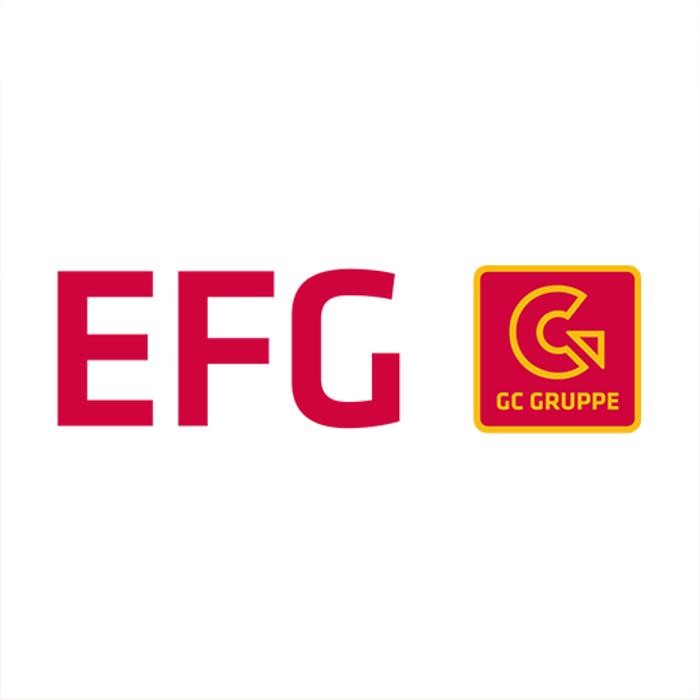 ABEX EFG GIENGER Ergolding Logo