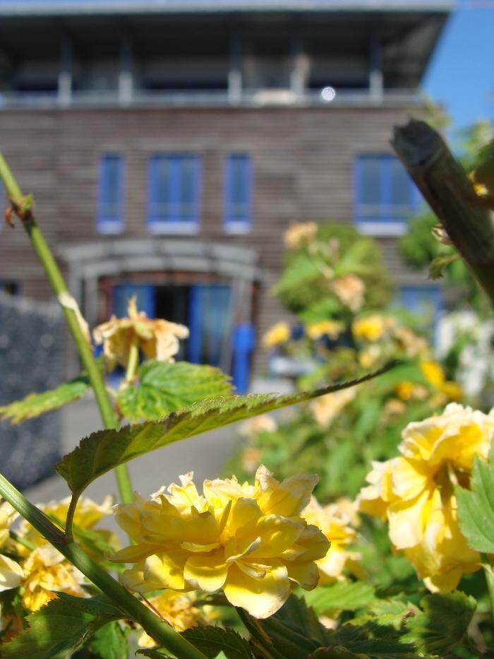 Bilder Bestattungshaus Schlage GmbH