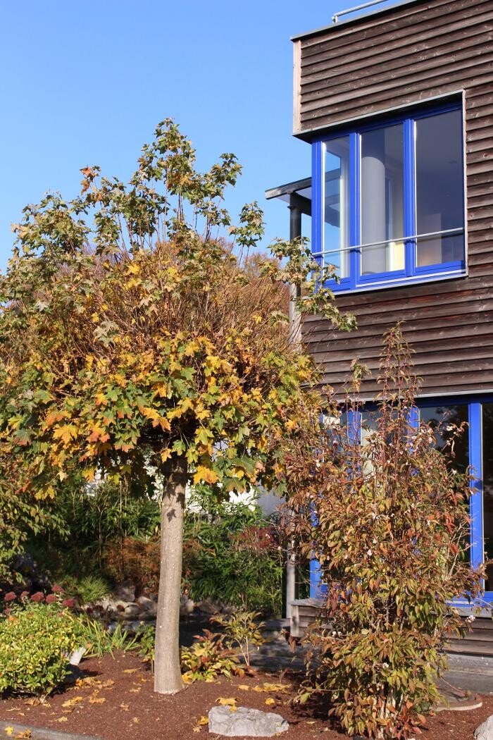 Bilder Bestattungshaus Schlage GmbH