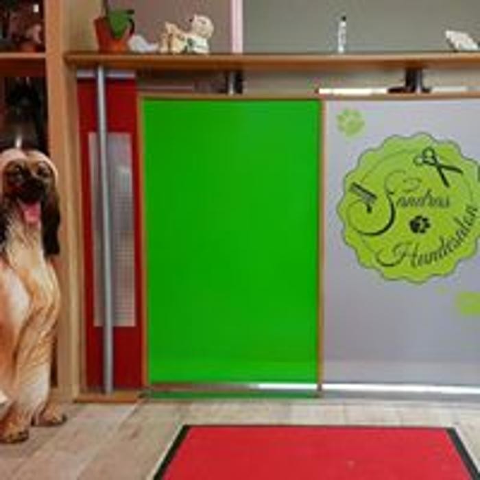 Bilder Sandras Hundesalon