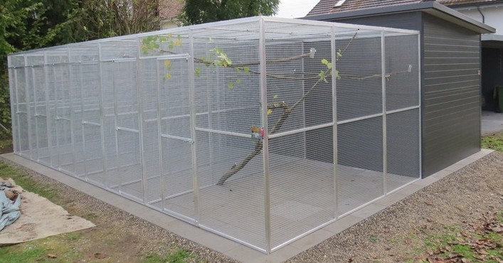 Bilder Volierenbau Dennis Worth