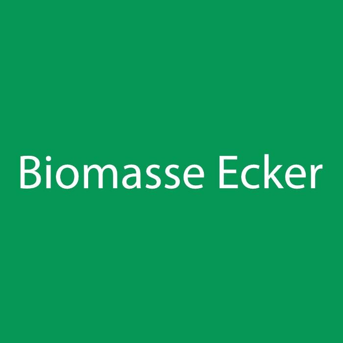 Bilder Biomasse Ecker GmbH&Co.KG