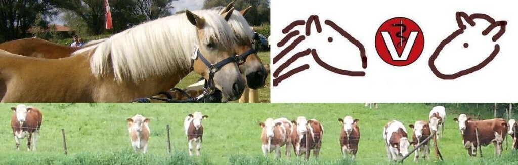 Prakt.Tierarzt Andreas Hensch Logo