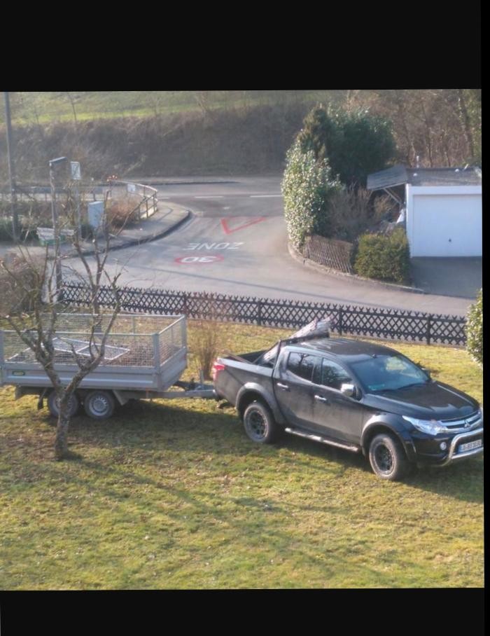 Bilder B strauch Baumfällungen und Pflege
