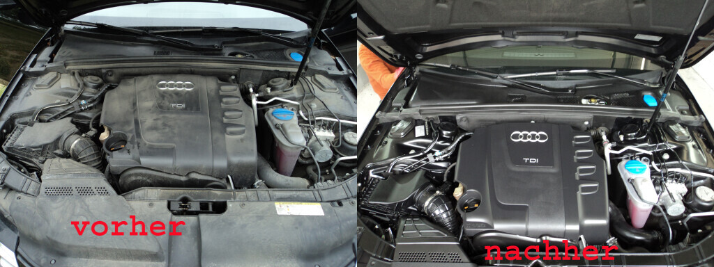 Bilder Autopflege Hirsch