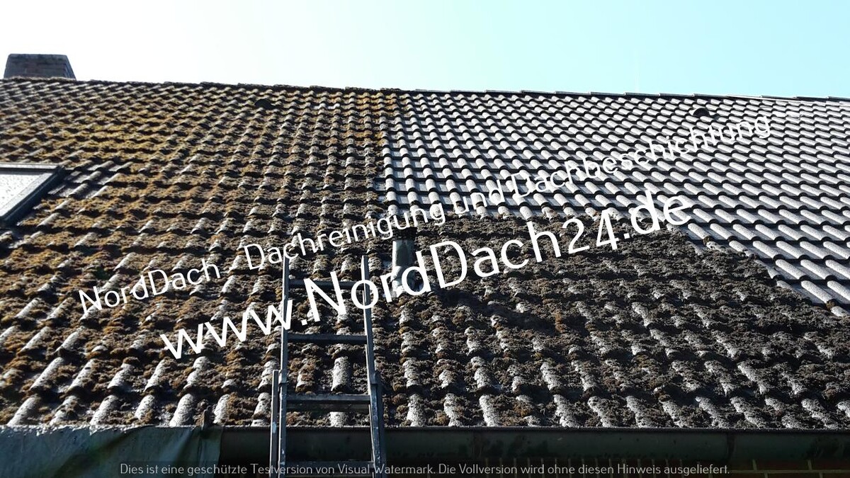 Bilder NordDach - Dachreinigung und Dachbeschichtung