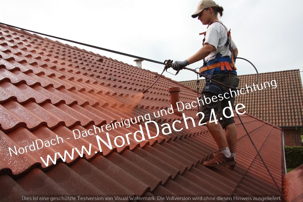 Bilder NordDach - Dachreinigung und Dachbeschichtung