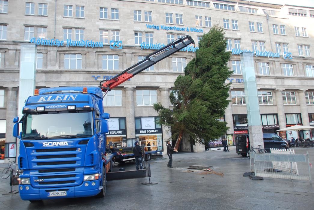 Bilder Dissmann Weihnachtsbäume