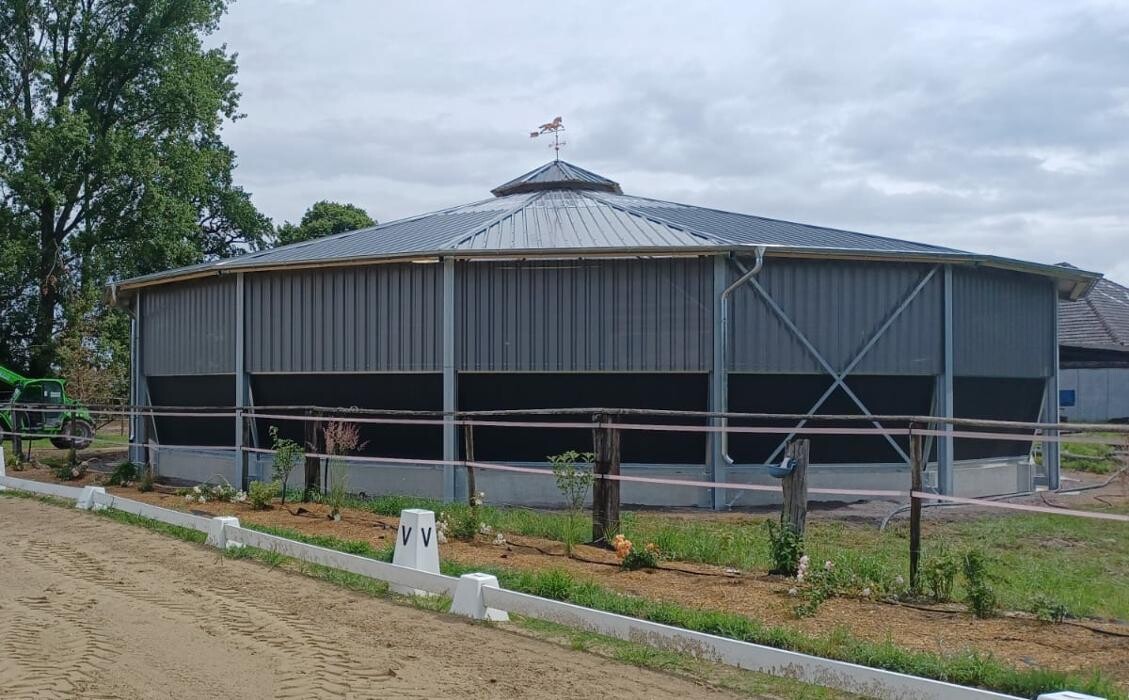 Bilder Gestüt Bönniger Ludwig Stassen