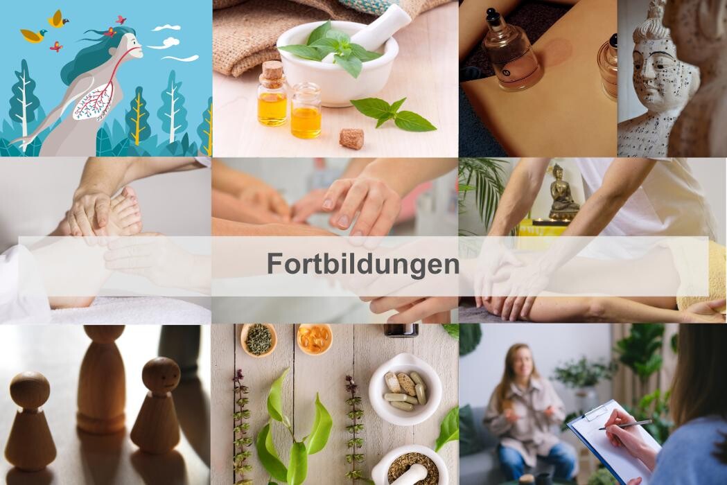 Bilder CHIRON Heilpraktikerschule