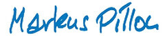 Professionelle Hypnose Markus Pillon Logo