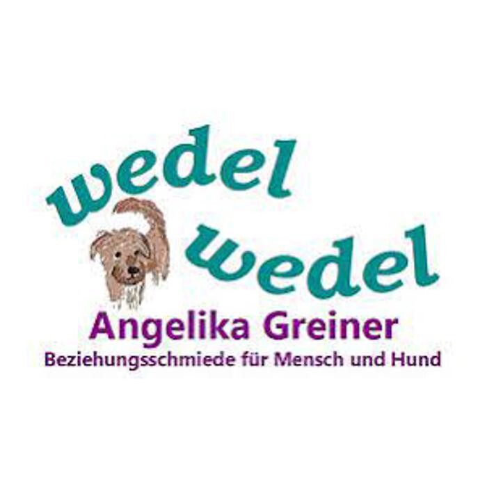 Bilder Wedel wedel Hundeschule