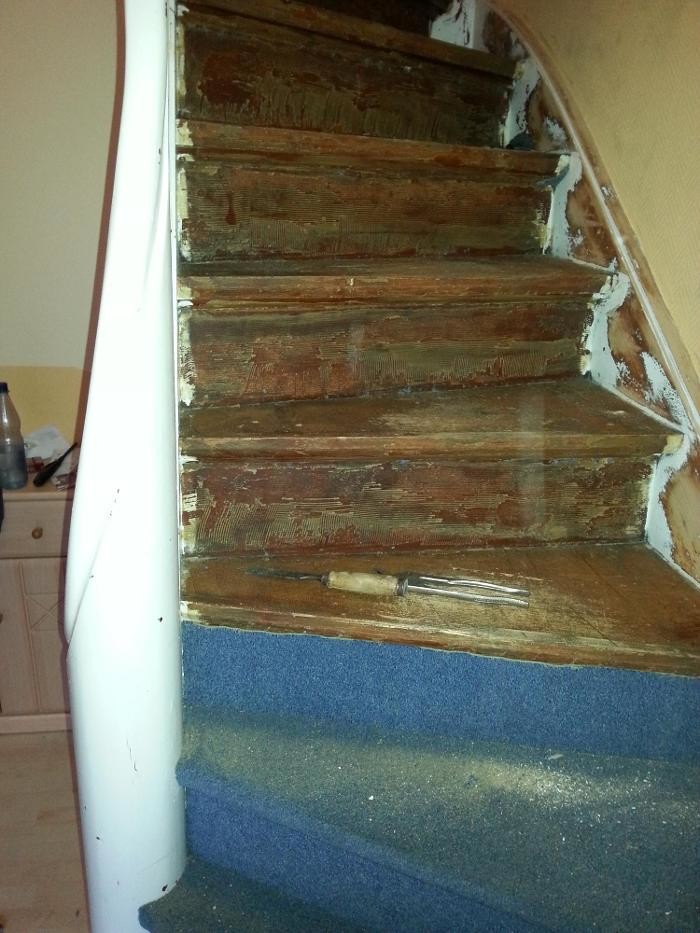 Bilder Holzfußböden Grabow, Marcel Grabow - Parkettlegermeister // Tischlermeister