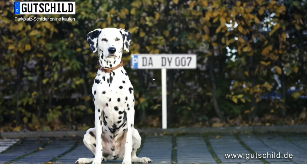 Bilder Eigenart Filmproduktion