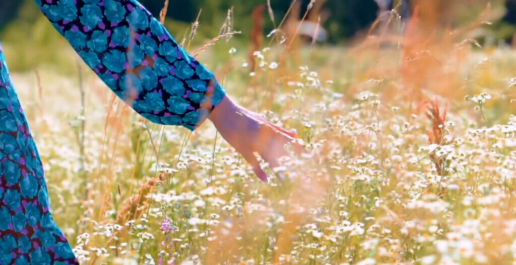 Bilder Eigenart Filmproduktion