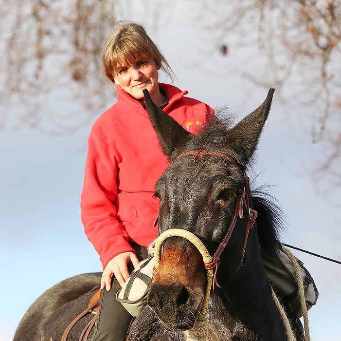 Bilder Maultierhof