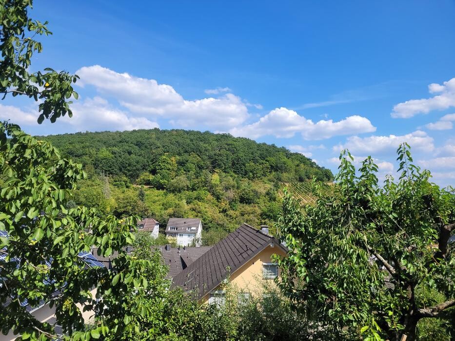 Bilder Vier Sterne Ferienwohnungen - Ahrtal - Alexandra Weiler