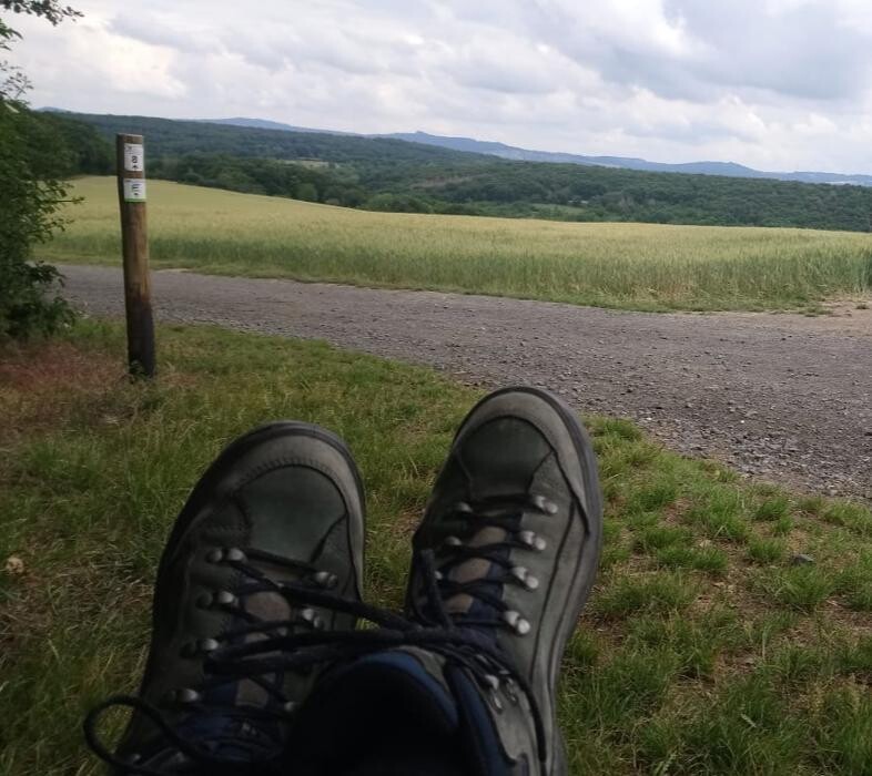 Bilder Vier Sterne Ferienwohnungen - Ahrtal - Alexandra Weiler