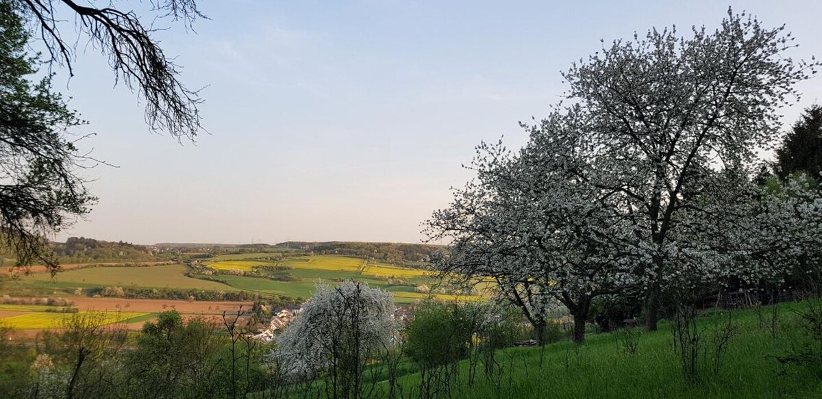 Bilder Vier Sterne Ferienwohnungen - Ahrtal - Alexandra Weiler