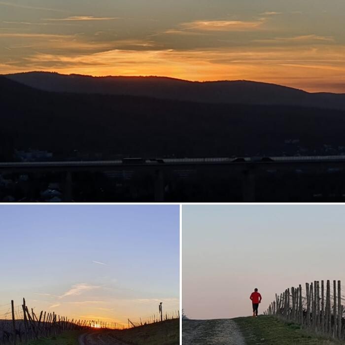 Bilder Vier Sterne Ferienwohnungen - Ahrtal - Alexandra Weiler