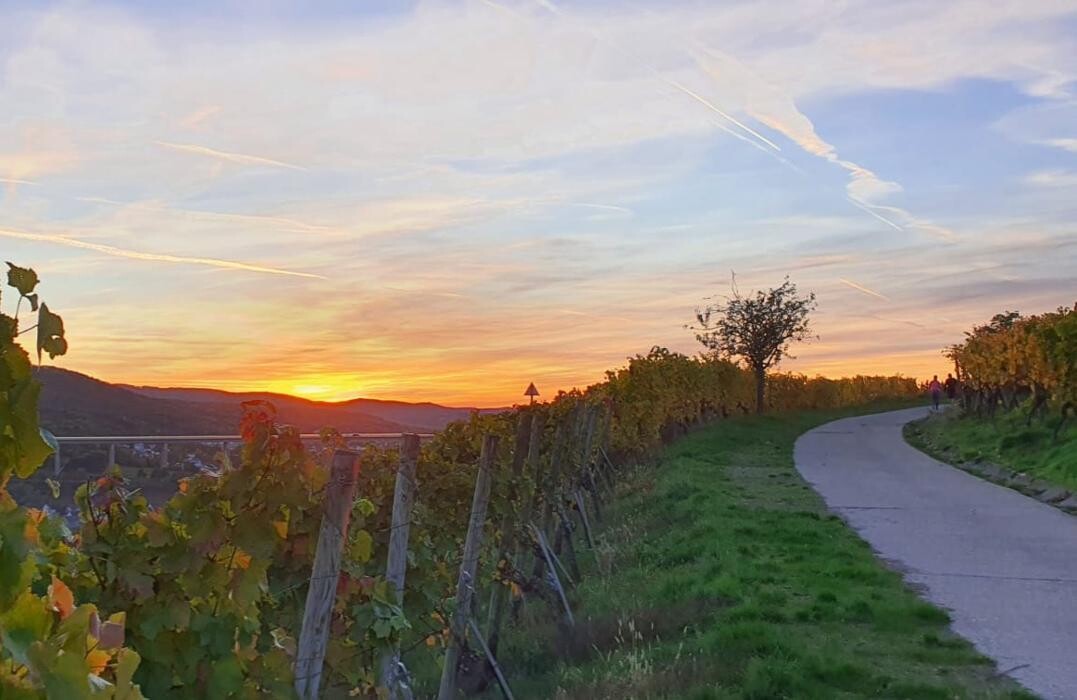 Bilder Vier Sterne Ferienwohnungen - Ahrtal - Alexandra Weiler