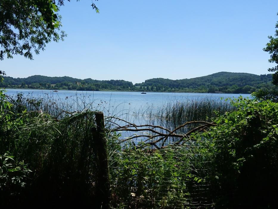 Bilder Vier Sterne Ferienwohnungen - Ahrtal - Alexandra Weiler