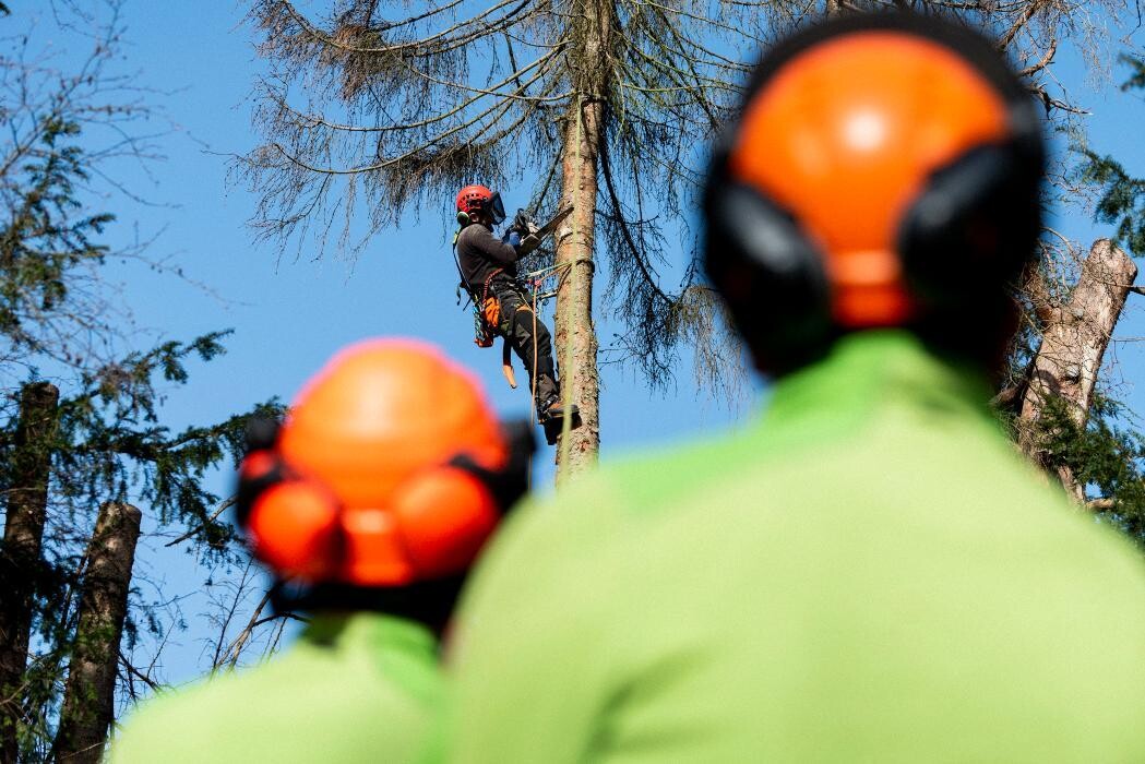 Bilder VB-Dienstleistung Amra Bajramovic