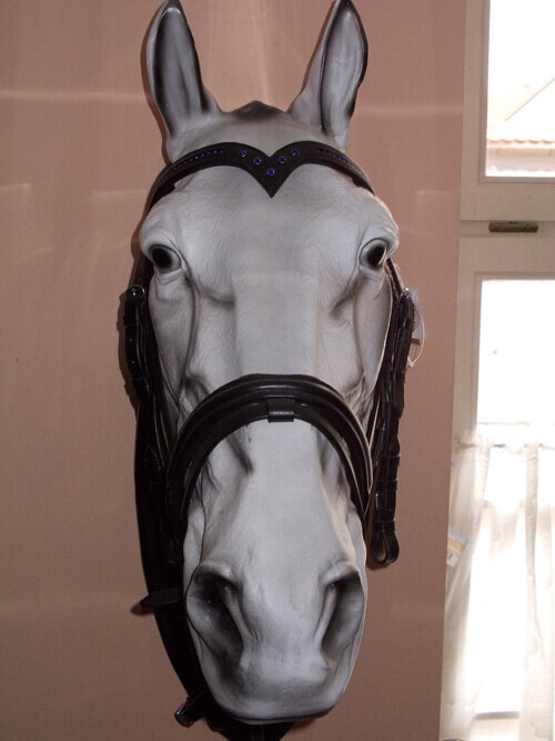 Bilder Petra's Reiterstübchen