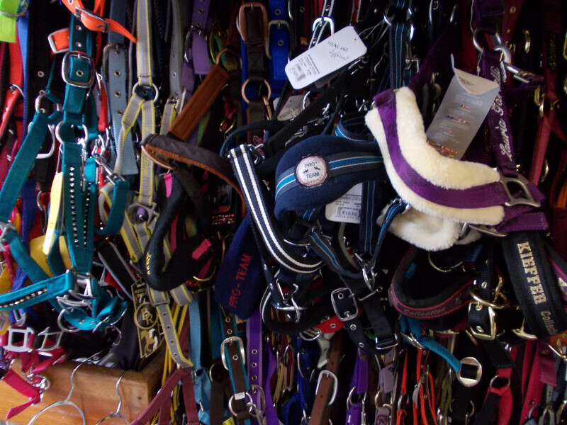 Bilder Petra's Reiterstübchen