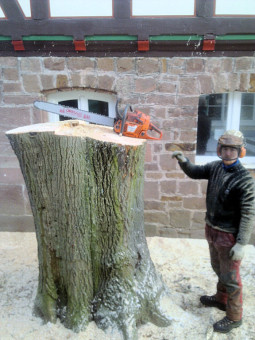 Bilder Baumdienst Koch    Christian Koch