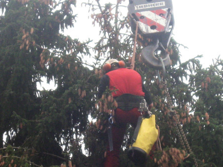 Bilder Baumdienst Koch    Christian Koch