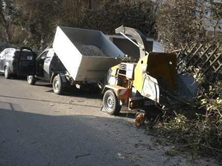 Bilder Baumdienst Koch    Christian Koch