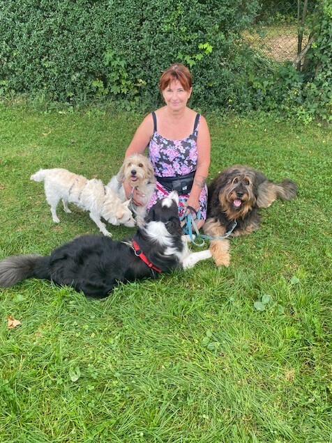 Bilder marionsalltagshunde mobile Hundetrainerin