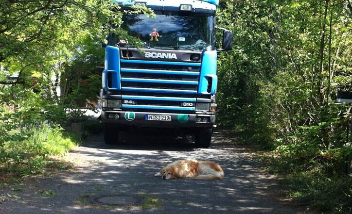 Bilder Erich Seitz Umzüge, Möbeltransporte