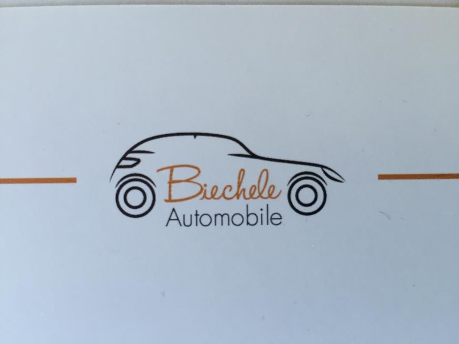 Biechele Automobile GmbH & CO KG Logo