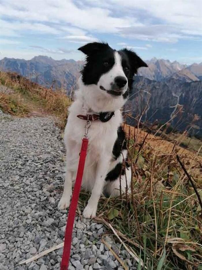 Bilder Praxis für Sprachtherapie Dunja Ratmann