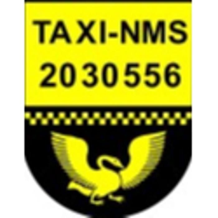 NMS Taxi Logo