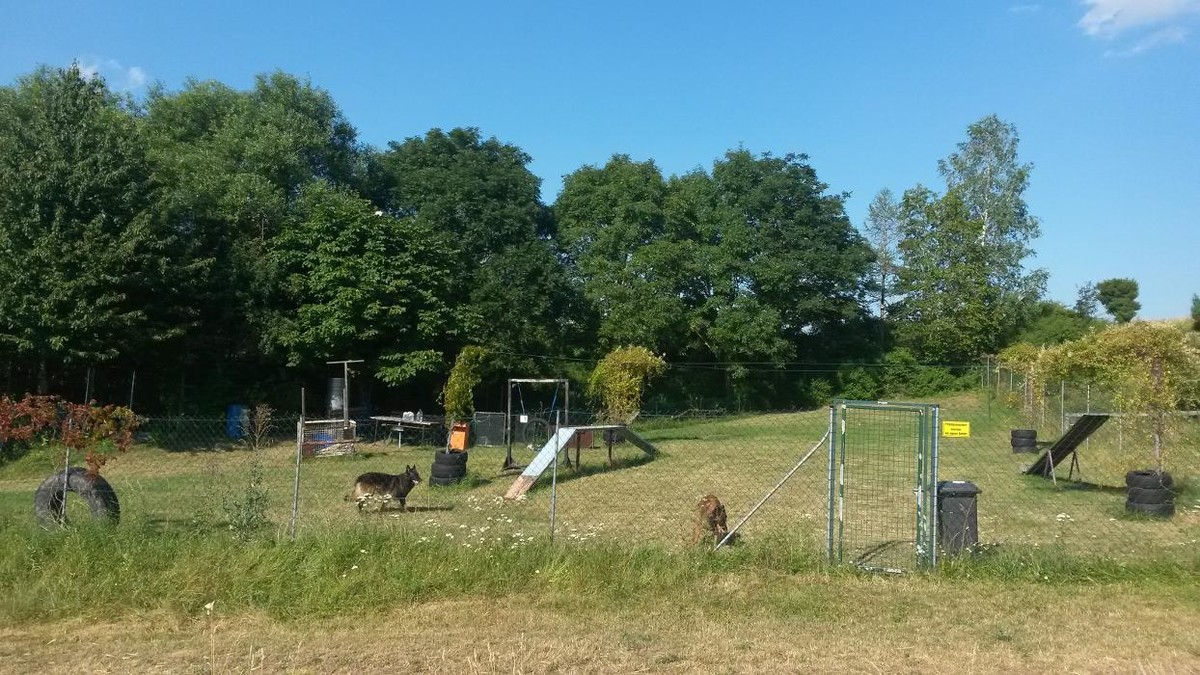 Bilder Reinjas Hundeschule