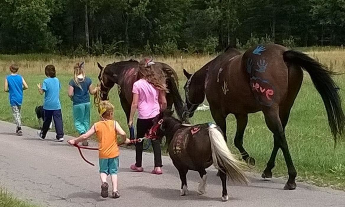 Bilder Horsemanship- und Therapiehof