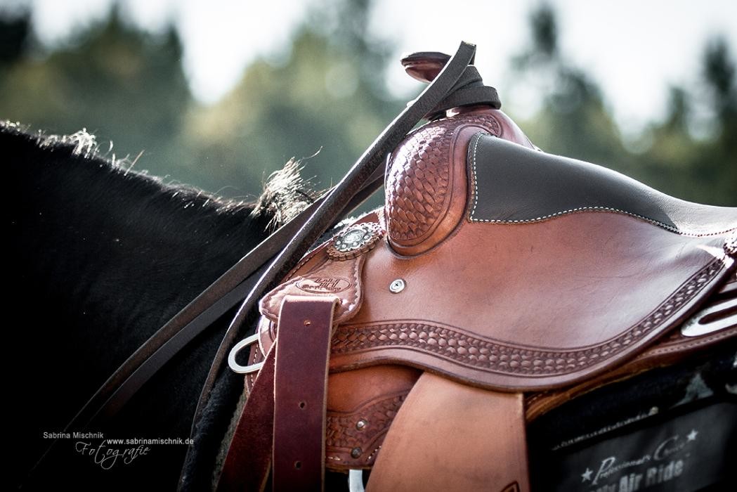 Bilder Horsemanship- und Therapiehof
