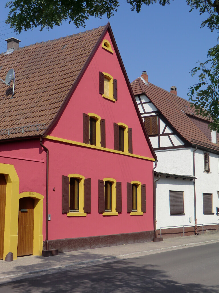 Bilder Katzenpension KittyKatz, Ariane Röhrig