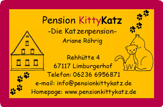 Bilder Katzenpension KittyKatz, Ariane Röhrig