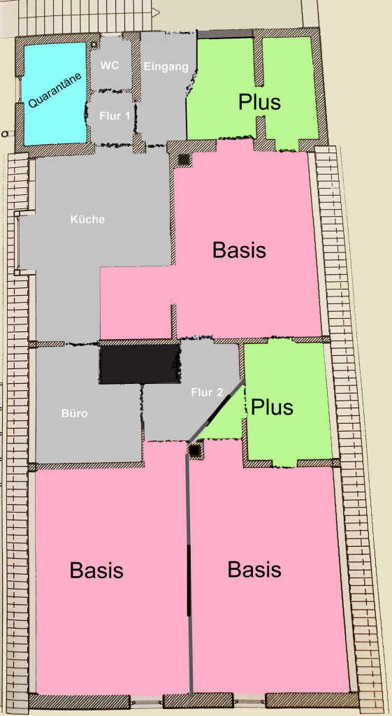 Bilder Katzenpension KittyKatz, Ariane Röhrig