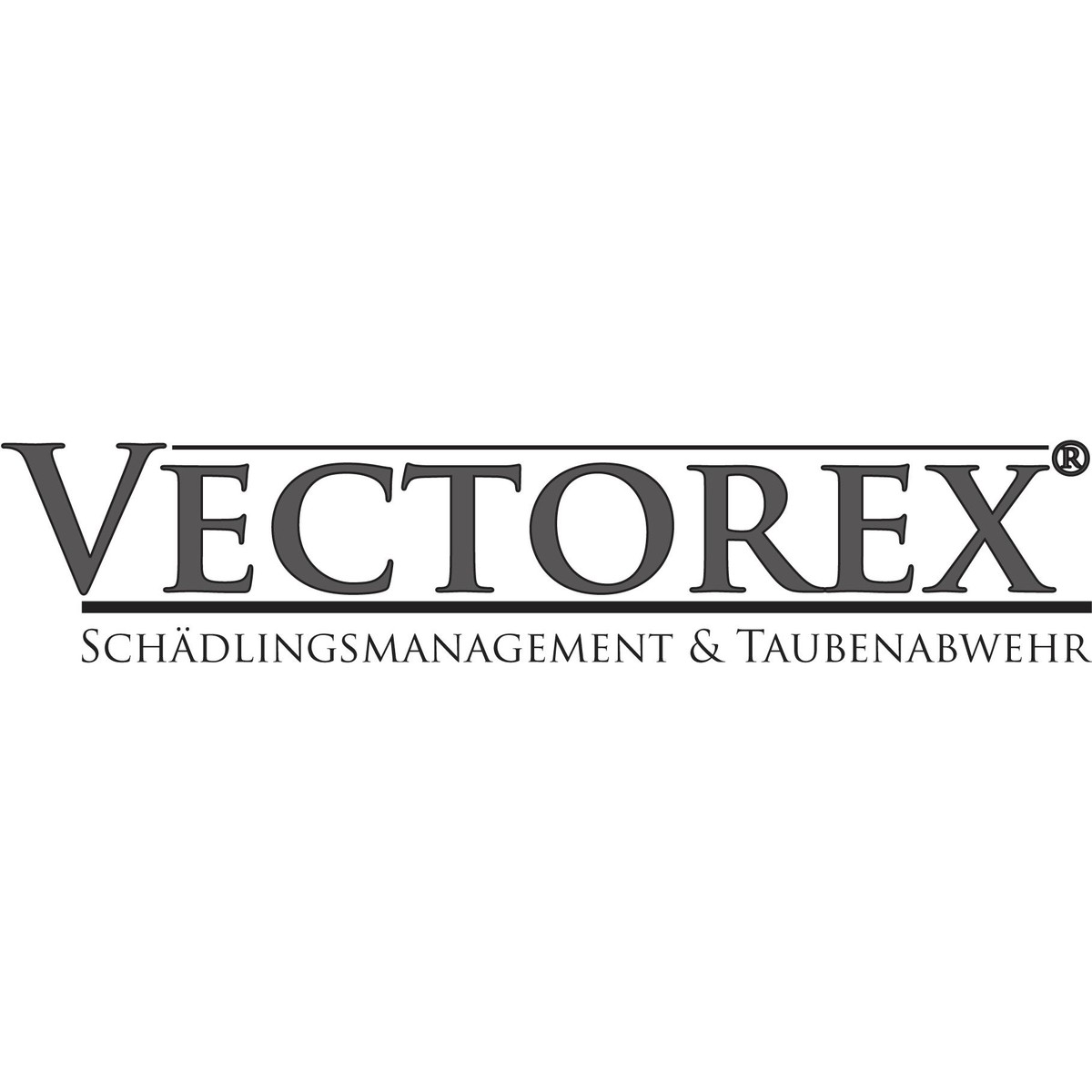 Bilder Schädlingsbekämpfung Vectorex UG (haftungsbeschränkt) & Co.KG