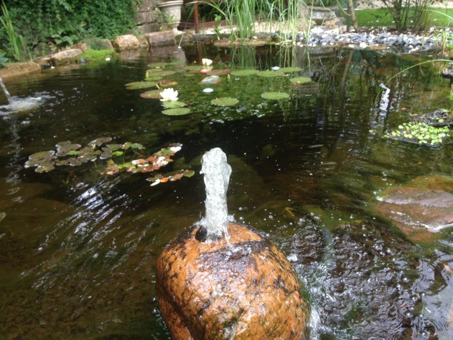 Bilder Volz Galabau Garten und Landschaftsbau