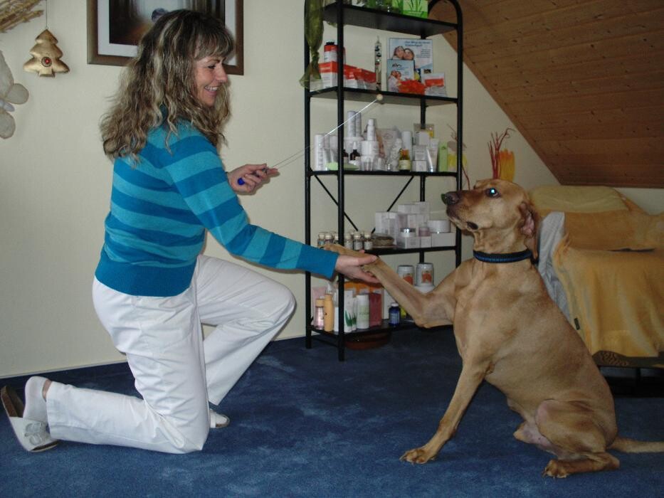 Bilder Yvonne Tränkner Heilpraktikerin