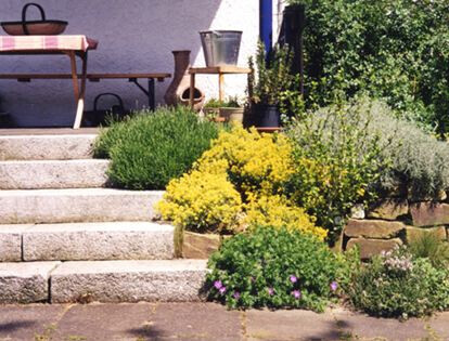 Bilder Röttger Garten